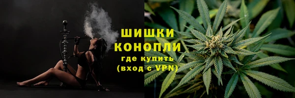 гидропоника Верея