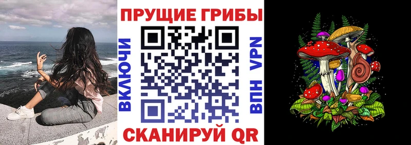 ОМГ ОМГ сайт  наркота  Северобайкальск  Псилоцибиновые грибы MAGIC MUSHROOMS 